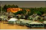 Mekong Delta tour (3 days/ 2 nights)
