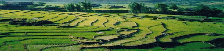 Vietnam Day Tours