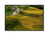 Sapa Hard Trek Tour 4 Days 3 Nights | Ha Noi to Sapa Tour | Viet Fun Travel