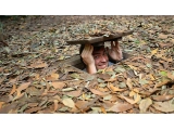 City - Cu Chi Tunnels - Cai Be Floating Market - Water Puppet Show Tour 4-Day 3-Night From Sai Gon | Viet Fun Travel