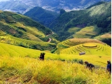 Sapa Bac Ha Market Tour 1 Day | One Day Sapa Bac Ha Tour | Viet Fun Travel
