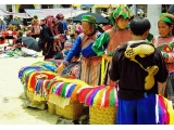 Sapa Bac Ha Market Tour 1 Day | One Day Sapa Bac Ha Tour | Viet Fun Travel