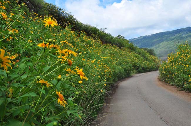 Dran Town Dalat