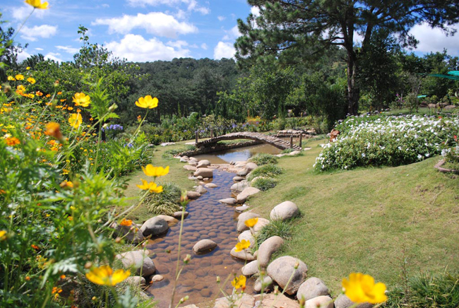 Golden Valley Dalat