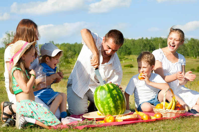 Image result for family picnic