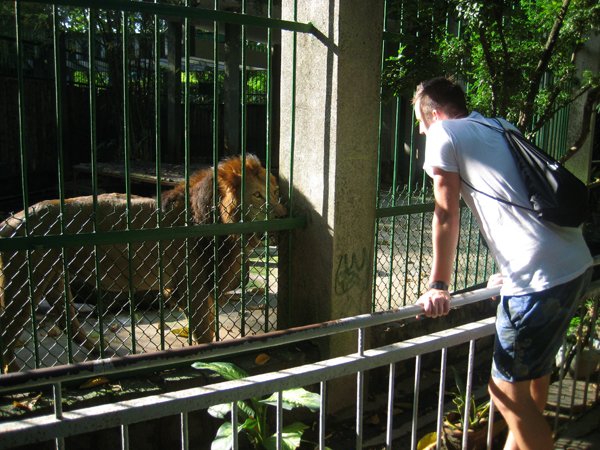 saigon zoo and botanical gardens