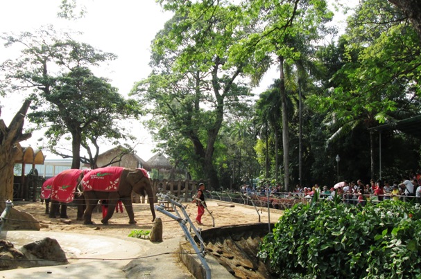 saigon zoo and botanical gardens