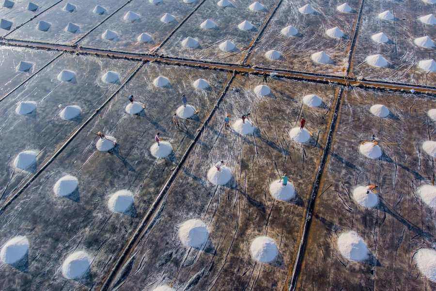 salt_fields_bac_lieu