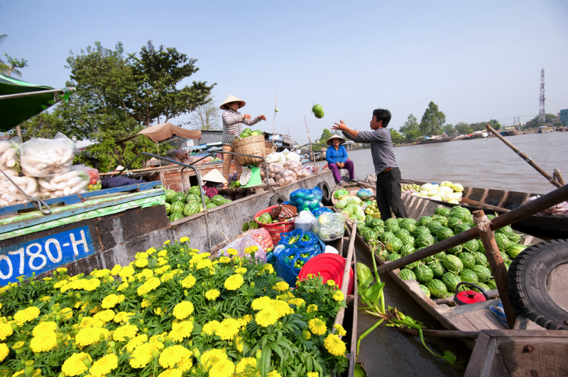 Cai-Rang-mekong-delta-Viet-Fun-Travel