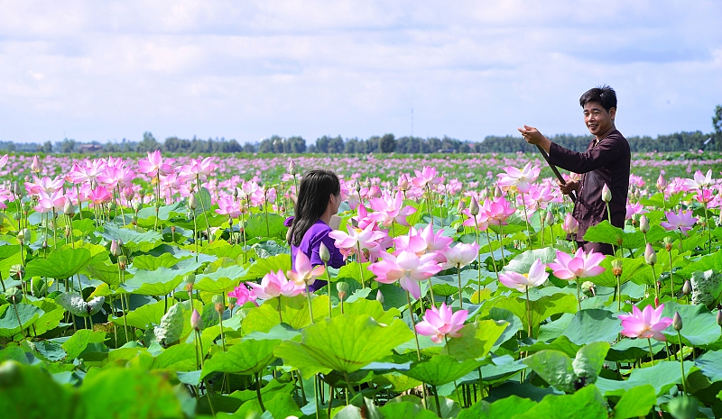 Sa Dec Flower Village- a favorite tourist attraction for flower lovers