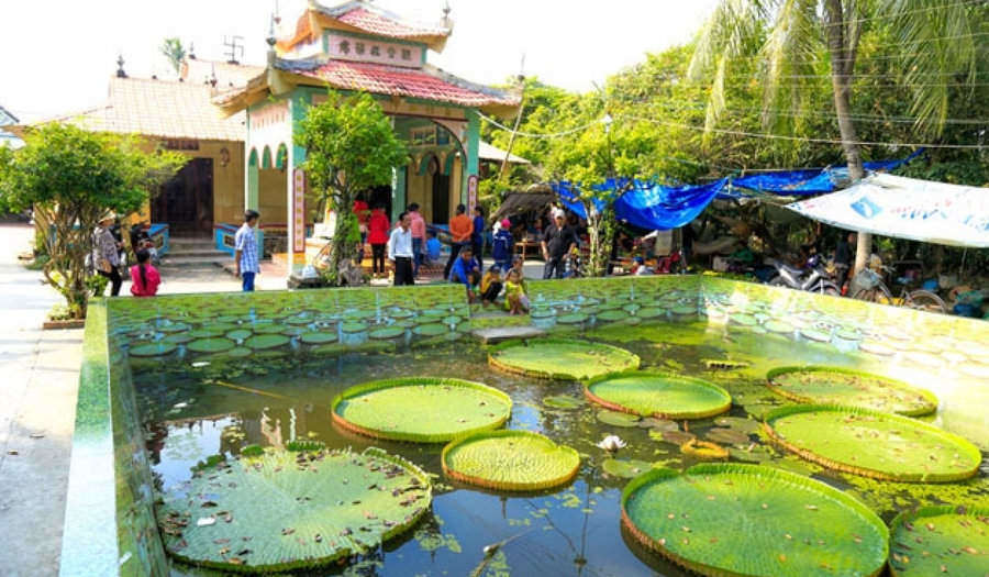 phuoc_kien_pagoda_dong_thap