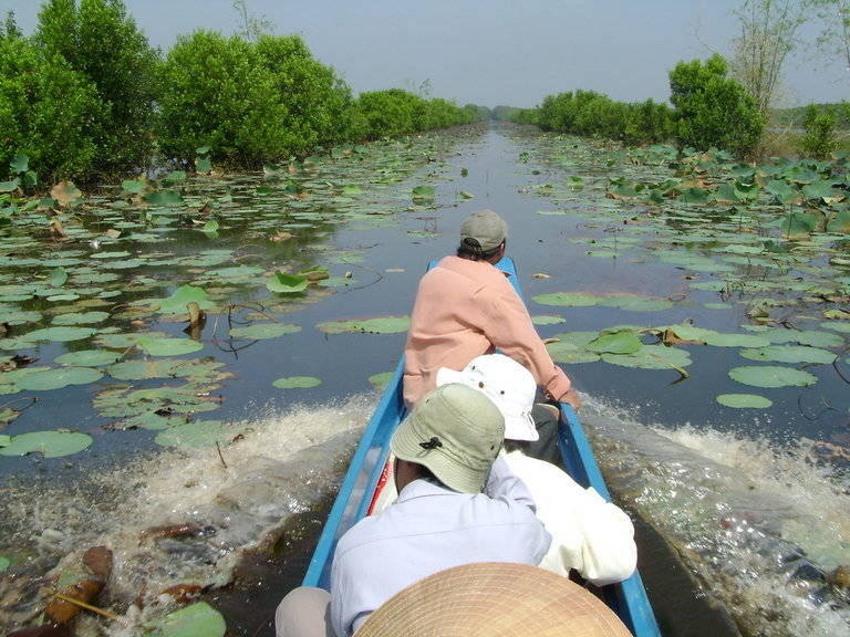 tram_chim_national_park