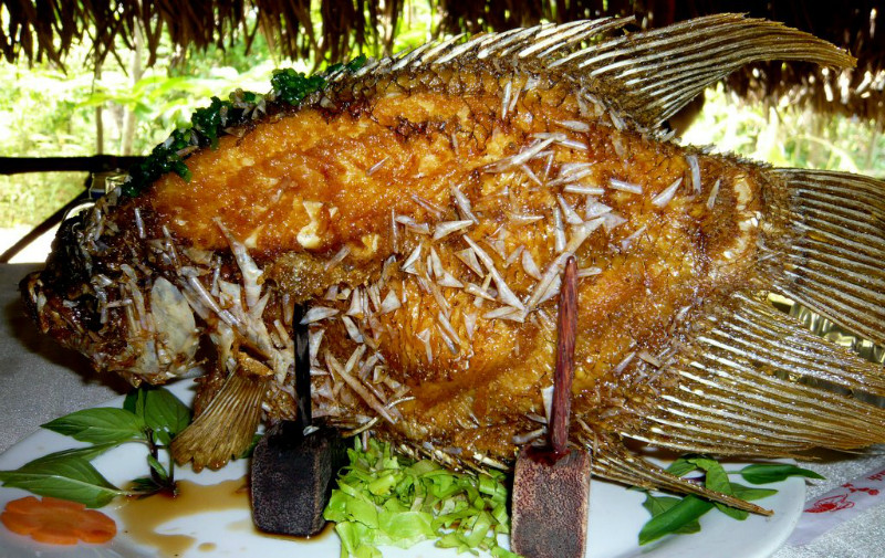 Elephant Ear Fish mekong delta