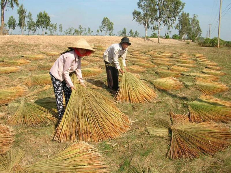 Phu My weaving village 