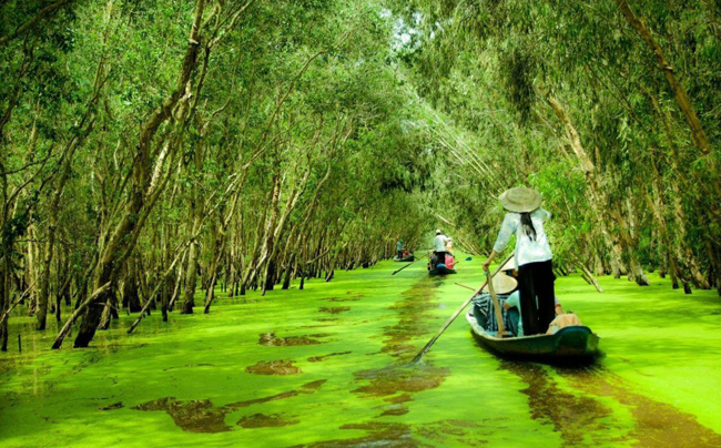 TraSu mekong delta