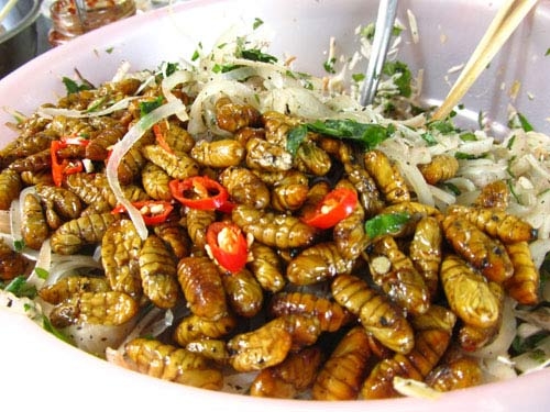 bee worm in camau 