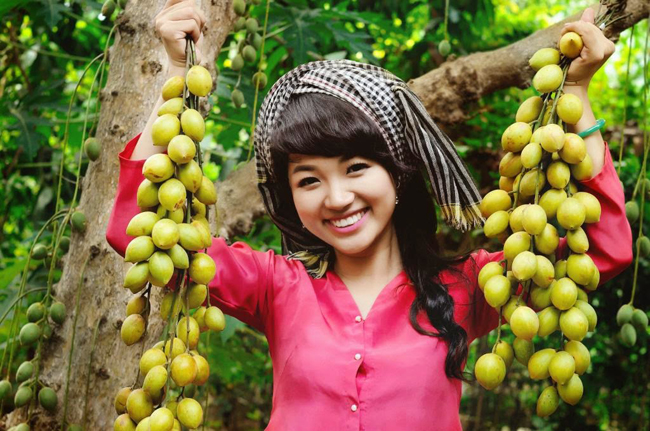 fruit gardens Vinh Long