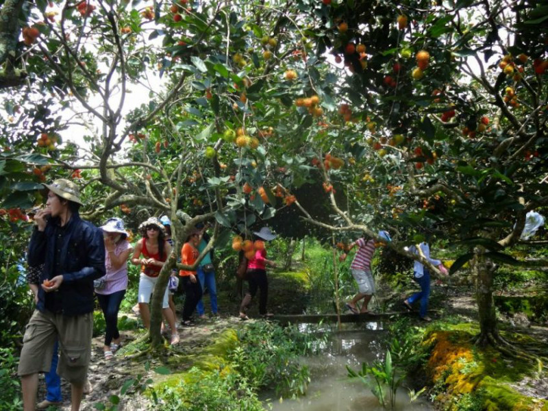 mekong delta fruit garden Viet fun travel