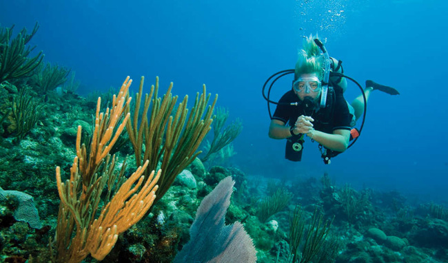 snorkeling in Phu Quoc 