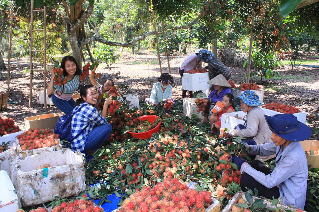 Fruit garden