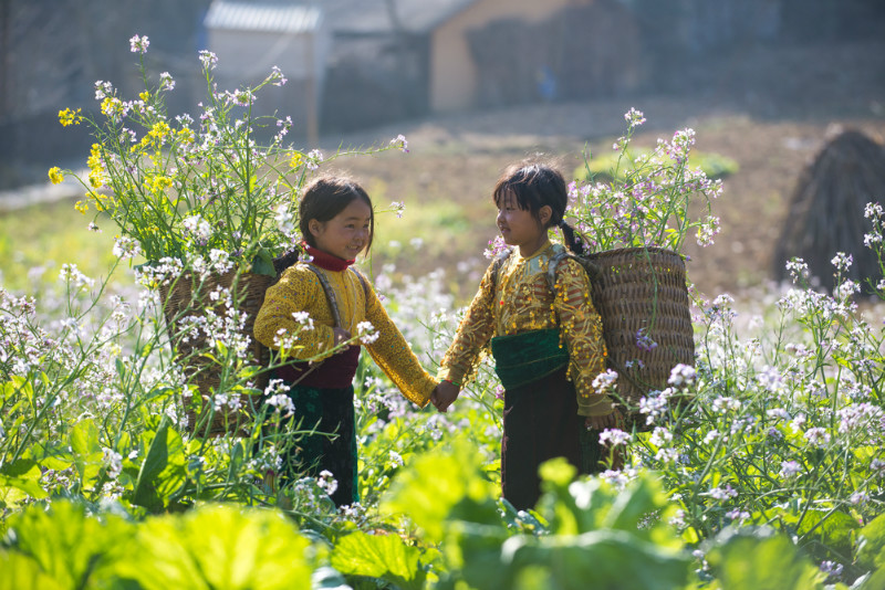 Vietnam good. Hanoi in Spring.