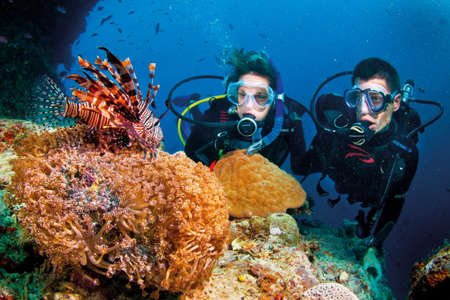 diving in Cu Lao Cham island