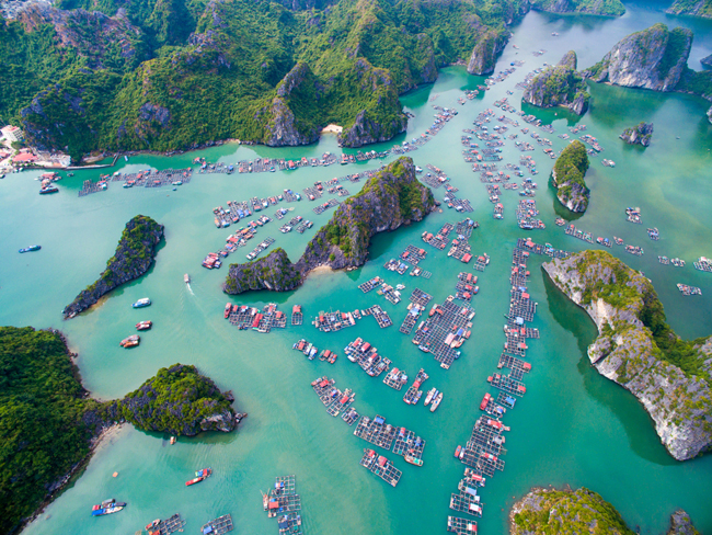 floating villages around Cat Ba islands 