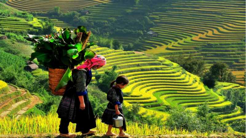 Tourist Attractions Vietnam Places To Visit
